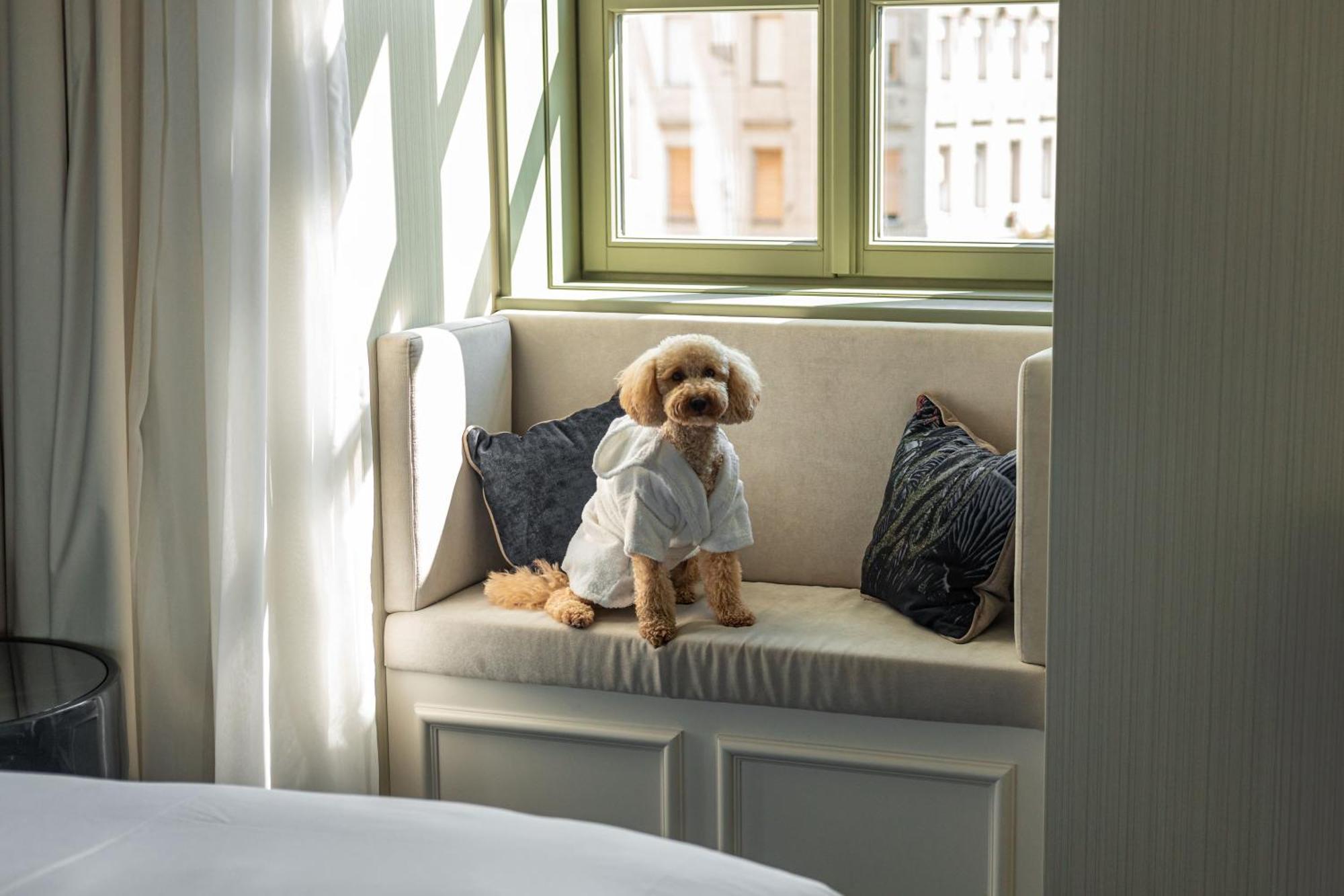 Kimpton Bem By Ihg Boedapest